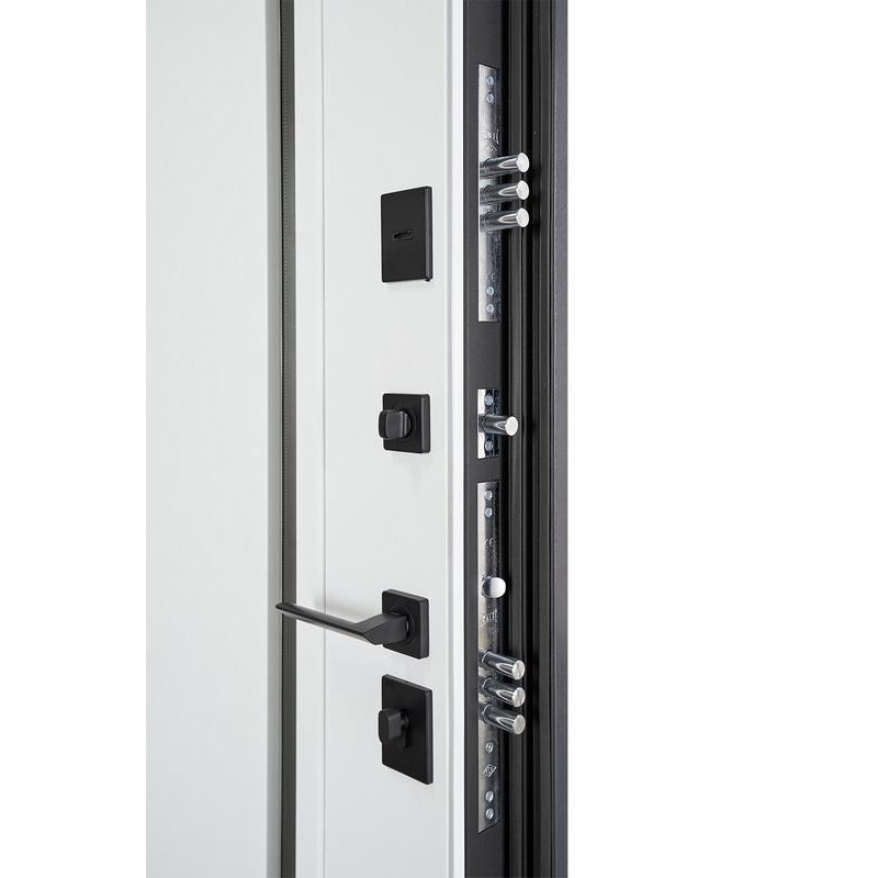 ABWEHR entrance door with thermal break Avenue model Termix configuration (537)
