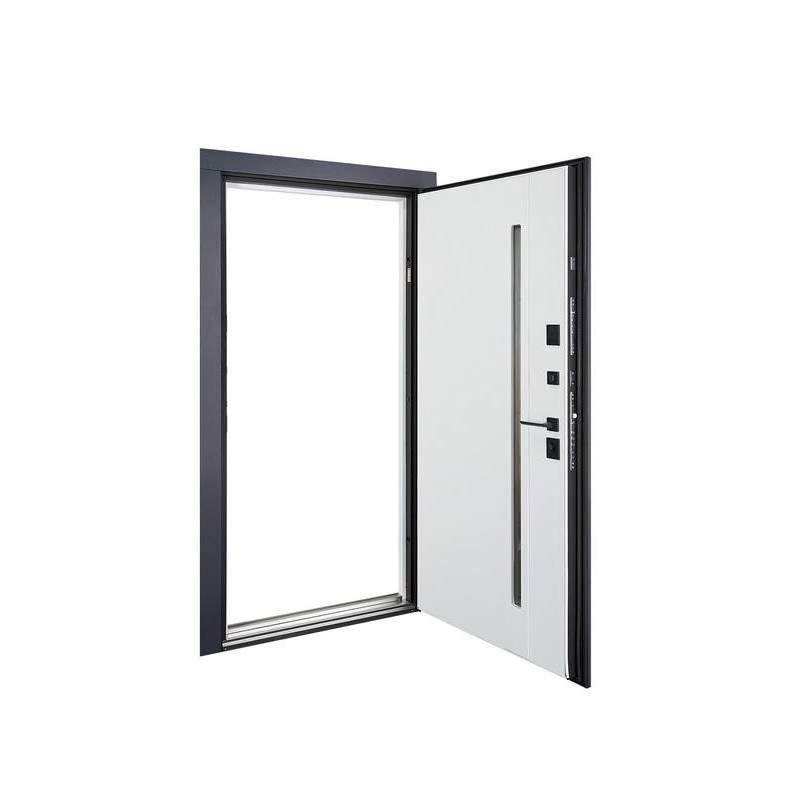 ABWEHR entrance door with thermal break Avenue model Termix configuration (537)