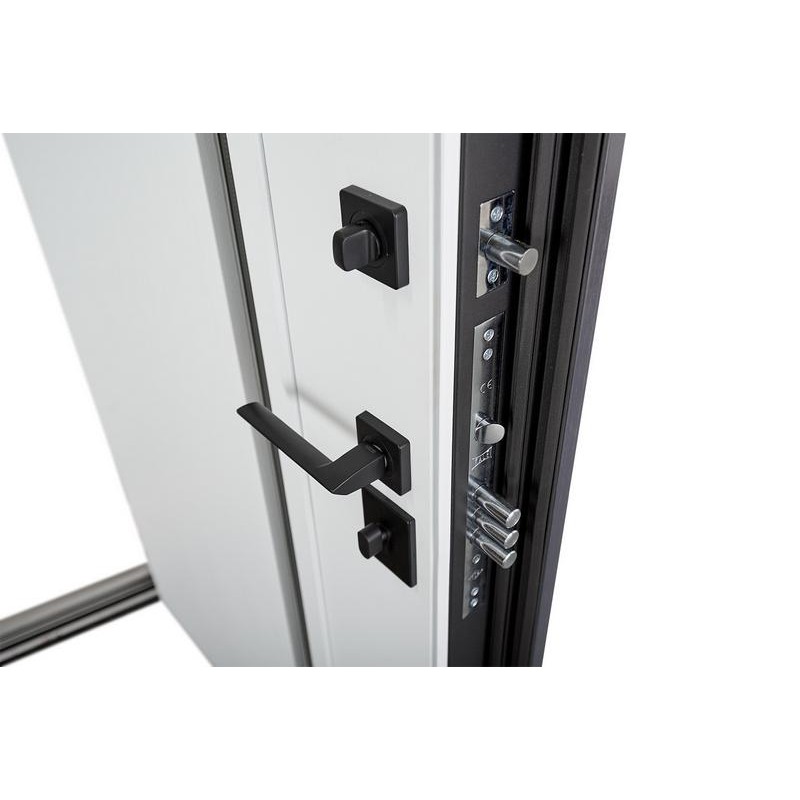 ABWEHR entrance door with thermal break Avenue model Termix configuration (537)