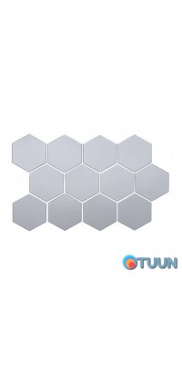 Mirror decor acrylic self-adhesive 125*105mm silver, 12pcs (D) SW-00002513