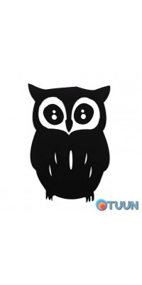 Mirror decor acrylic self-adhesive Black Owl (D) SW-00002493