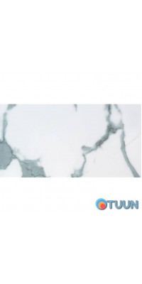 Self-adhesive wall PET tile 600*300*2mm (D) SW-00001671