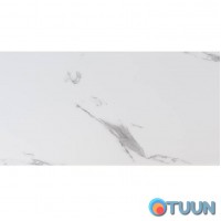 Самоклеящаяся стеновая PET плитка 600*300*2mm (D) SW-00001684