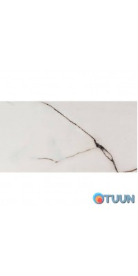 Self-adhesive wall PET tile 600*300*2mm (D) SW-00001678