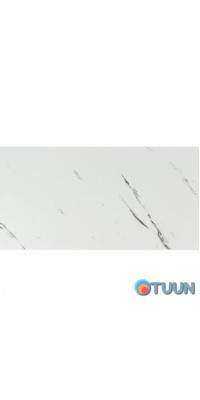 Self-adhesive wall PET tile 600*300*2mm (D) SW-00001679
