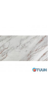 Self-adhesive wall PET tile 600*300*2mm (D) SW-00002327