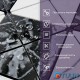 Self-adhesive PET mosaic 30*30CM*4MM (D) SW-00002450