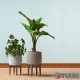 Flexible self-adhesive plinth oak gold SW-00000075