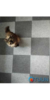 Self-adhesive tiles for carpet, dark gray 300x300x4.5mm SW-00001420